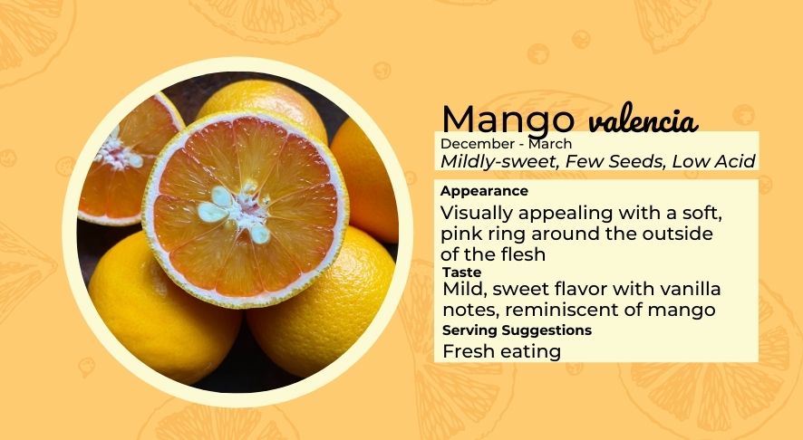 Mango Valencia Orange Infographic